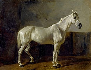 Rudolf Koller – Stojący biały koń