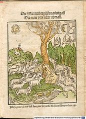 Hans Sachs - Wittembergisch Nachtigall 1525